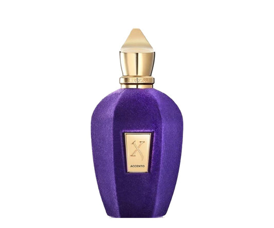 Xerjoff Accento Eau De Parfum 100ML tester